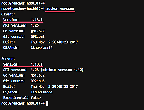 Проверка Docker на хосте