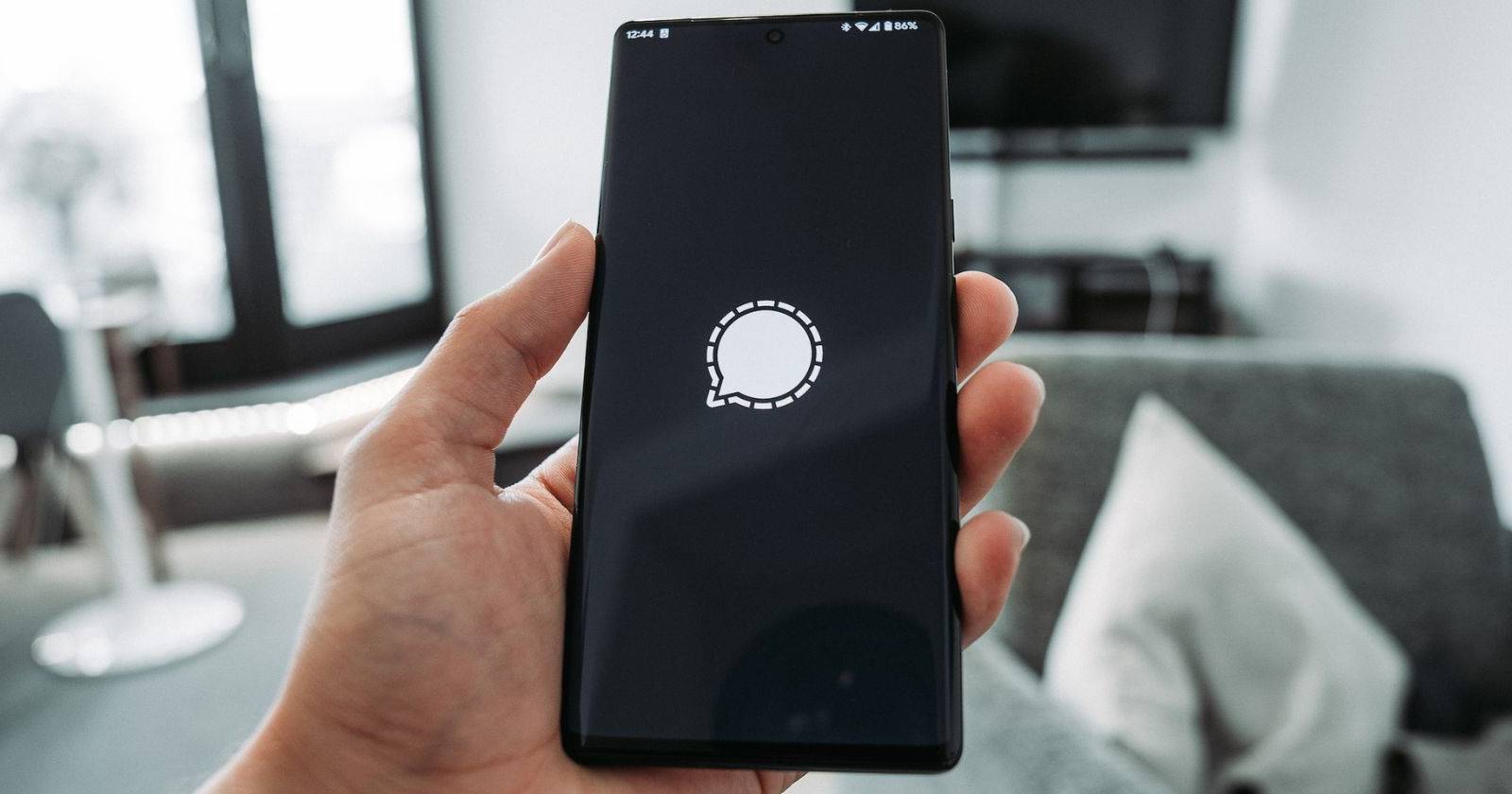 Логотип приложения Signal на смартфоне