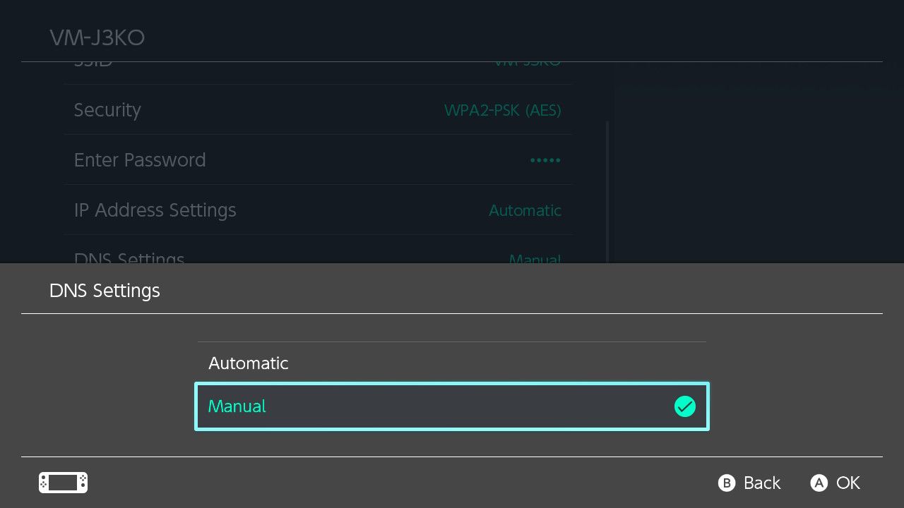 Скриншот настройки DNS на Nintendo Switch с выделенной опцией Ручной ввод