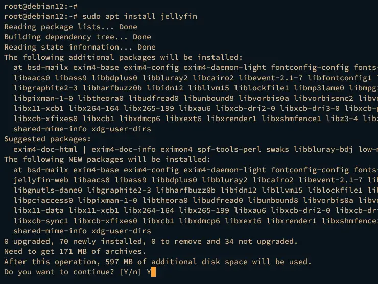 Установка Jellyfin