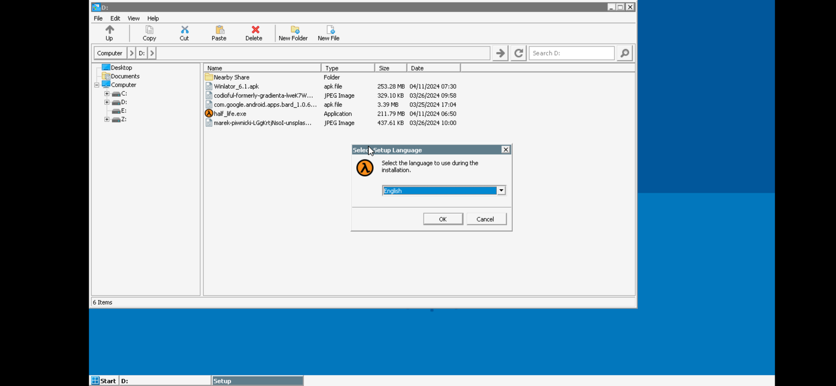 Диск D: с открытой программой установки Half Life в Winlator