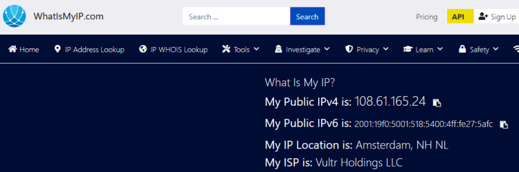 Результат теста прокси в браузере — внешний IP сервера прокси