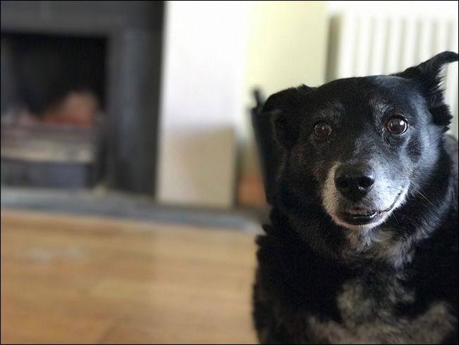 Готовый портрет с эффектом Depth Effect