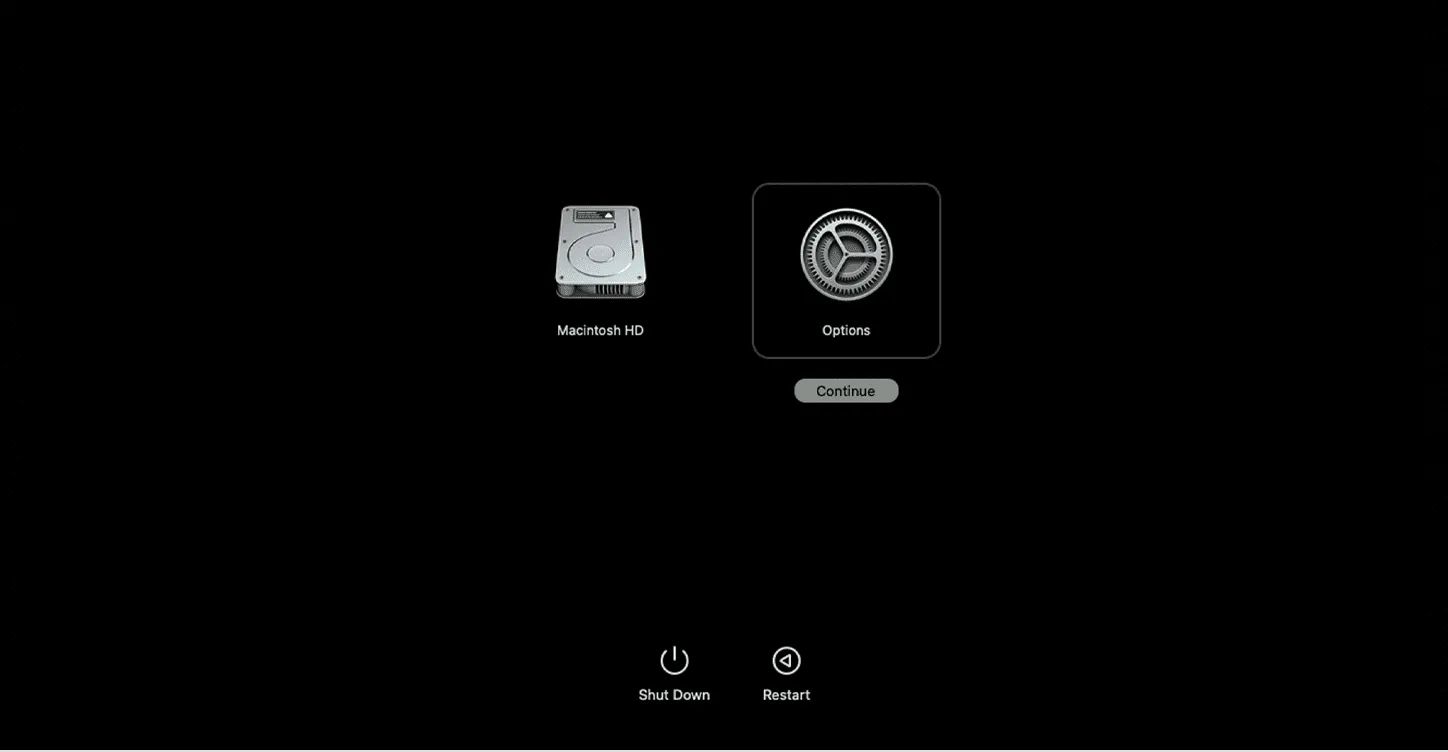 Варианты загрузки macOS на экране Mac