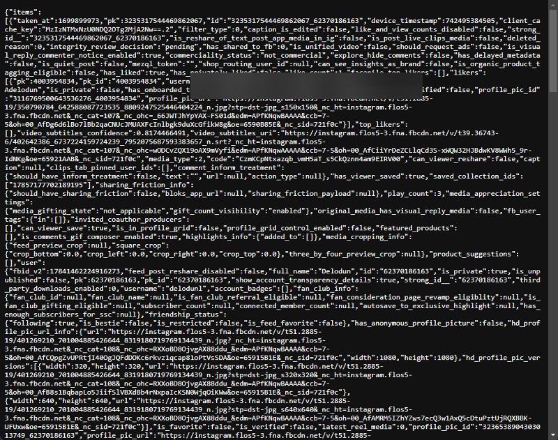 Screenshot: Quellcode der Reel-Datei mit Mediendaten