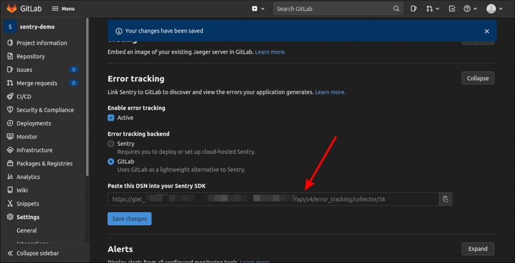 Скриншот отображения DSN для Error Tracking
