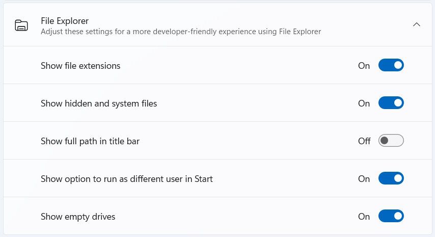 Раздел Проводник на странице Для разработчиков в параметрах Windows