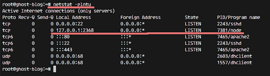 Проверка Ghost через netstat