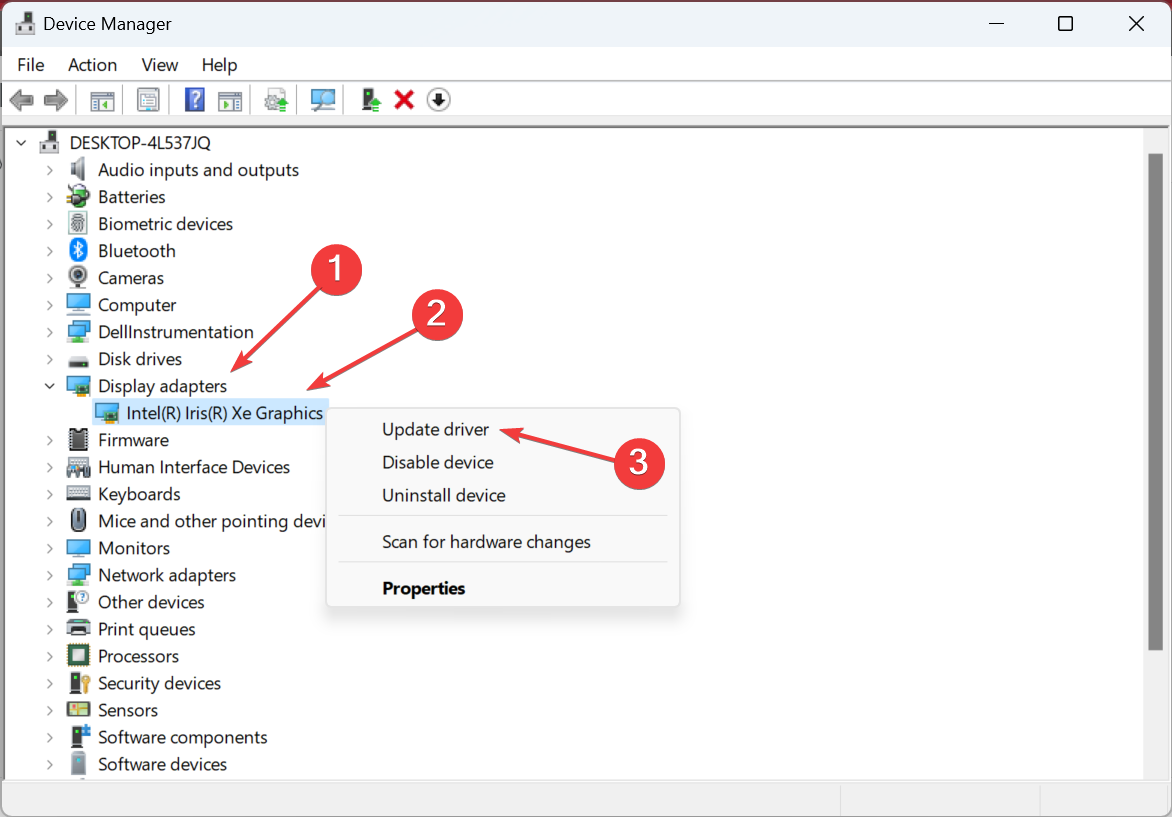 Обновление драйвера графического адаптера в Диспетчере устройств