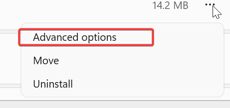 Дополнительные параметры приложения