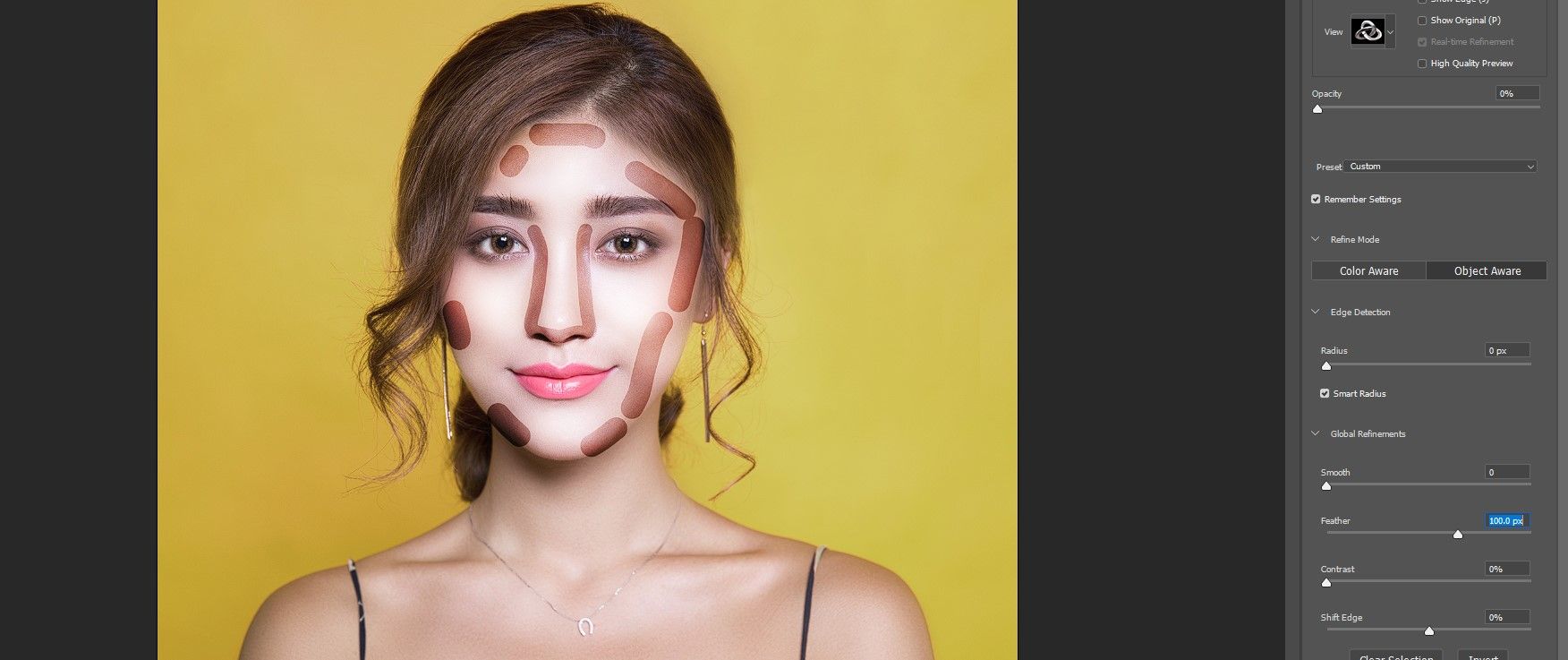 Step 3 Feather highlights