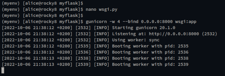 Запуск Gunicorn