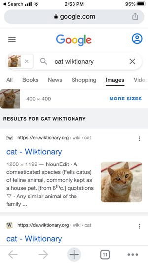 Результаты поиска в Chrome