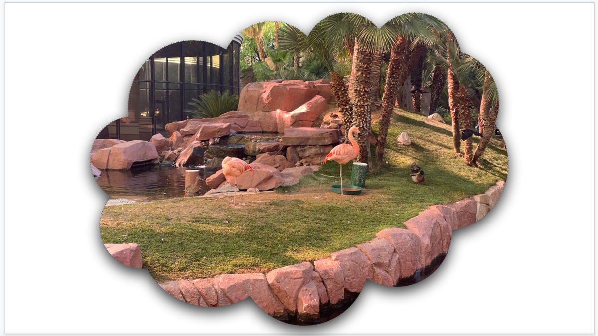 Обрезка изображения по форме в Google Slides