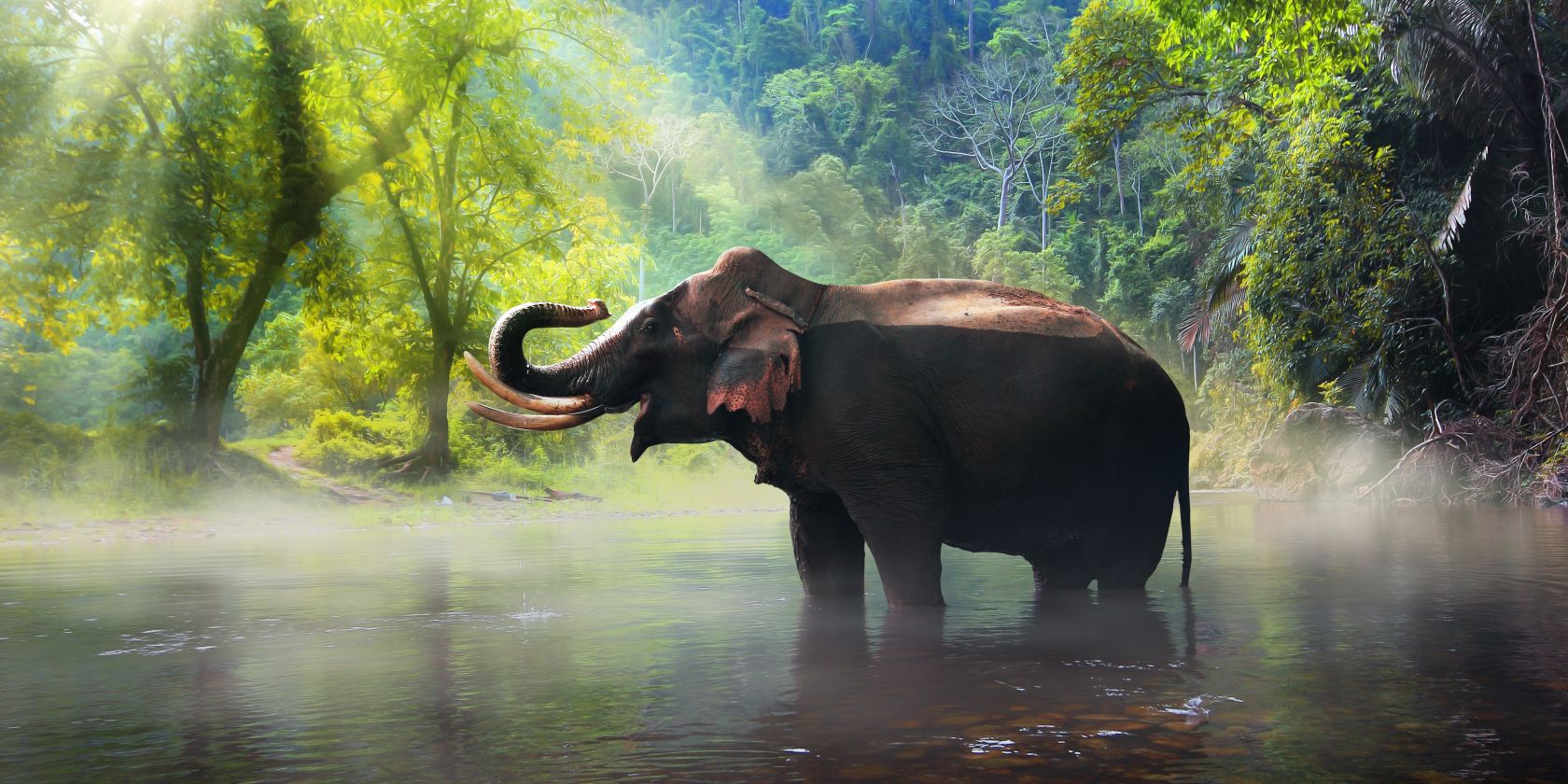 Postgres в Node.js с Sequelize