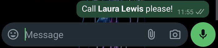 Пример форматирования отдельной части текста в чате WhatsApp