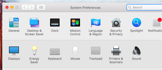 Параметры Spotlight с отмеченной категорией Developer