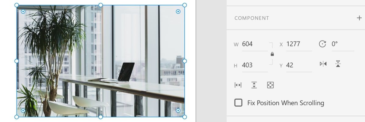 Изменение размеров изображения в Adobe XD