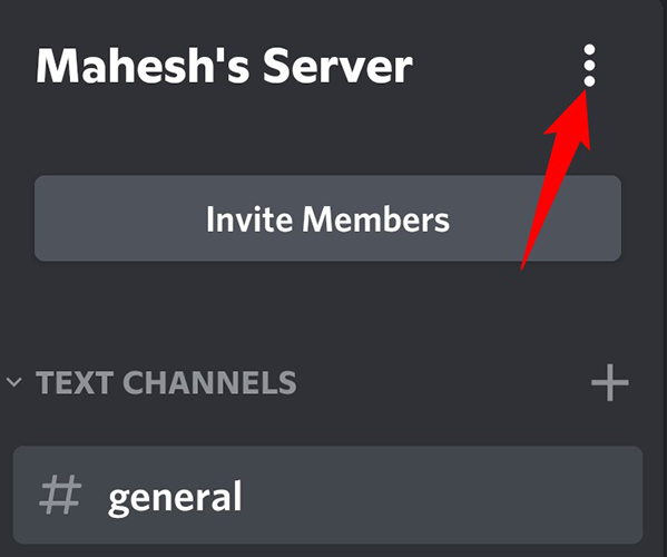 Нажмите три точки вверху рядом с именем сервера.