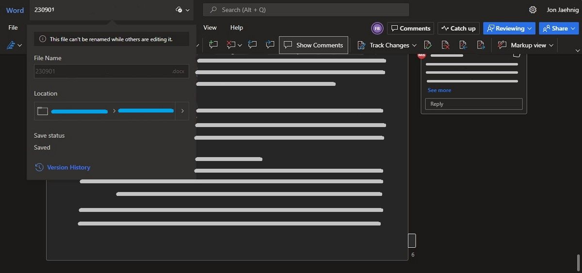 Версии документа расположены под именем файла