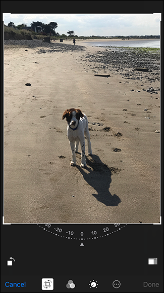 Пример кадрирования Live Photo и применения фильтра