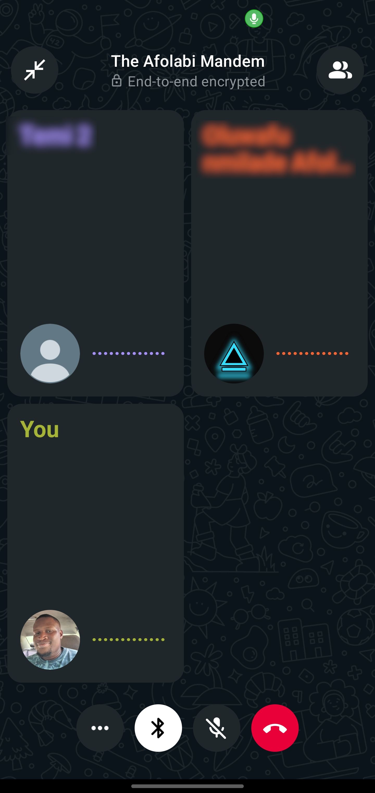 Список участников во время группового голосового звонка WhatsApp.