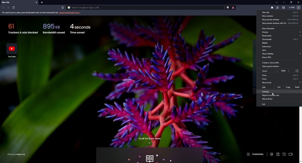 Brave Settings from Homepage