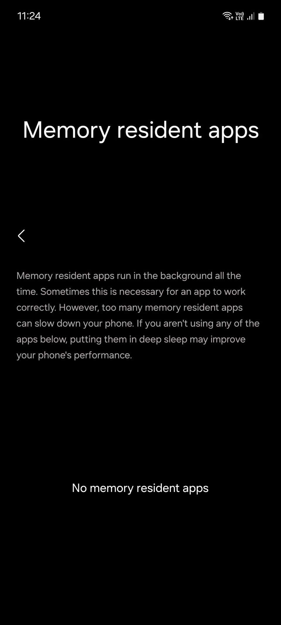 Список приложений, постоянно находящихся в памяти