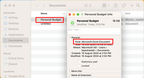Экспортированный файл XLSX в Finder