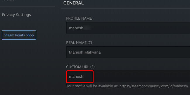 Ввод кастомного имени в поле Custom URL.