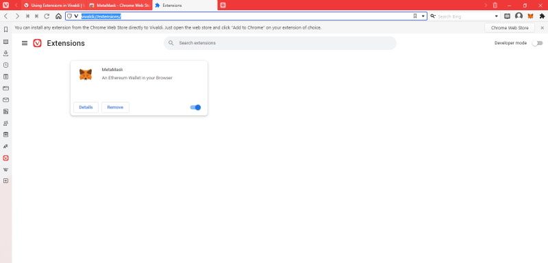 Страница менеджера расширений Vivaldi