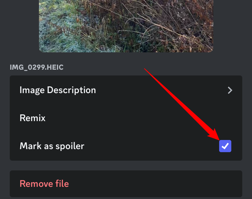 Поставьте флажок рядом с «Отметить как спойлер».