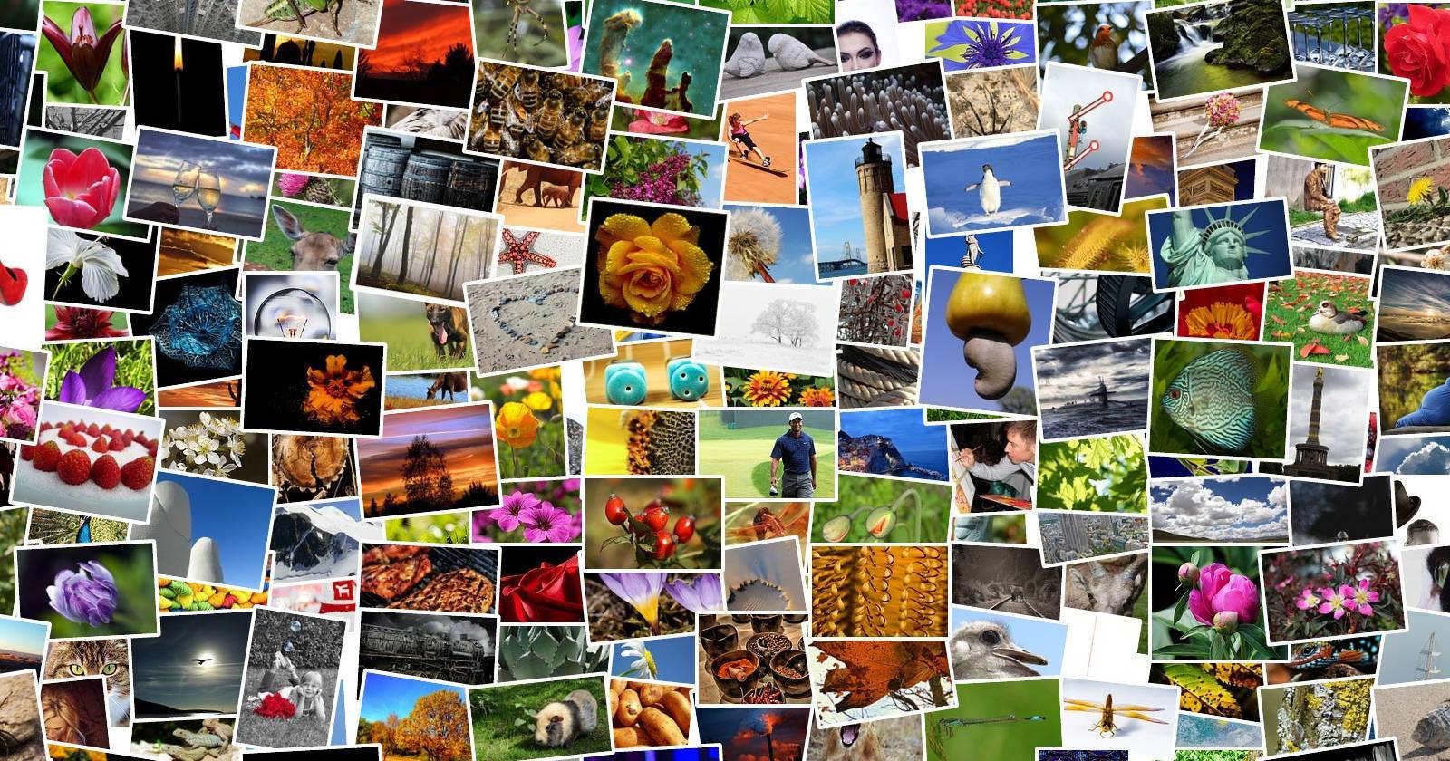 Рабочая область аккаунта Flickr с изображениями для скачивания