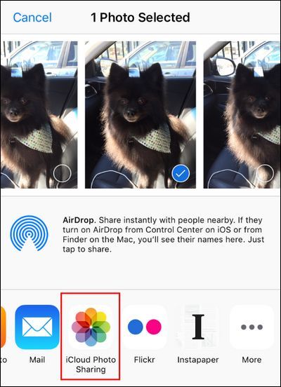 Меню Поделиться iOS: варианты отправки иконки