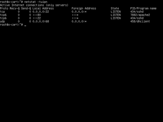 Вывод netstat: Apache слушает порт 80