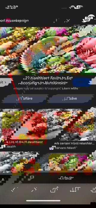 Значок Lens в результатах поиска изображений в Safari на iPhone