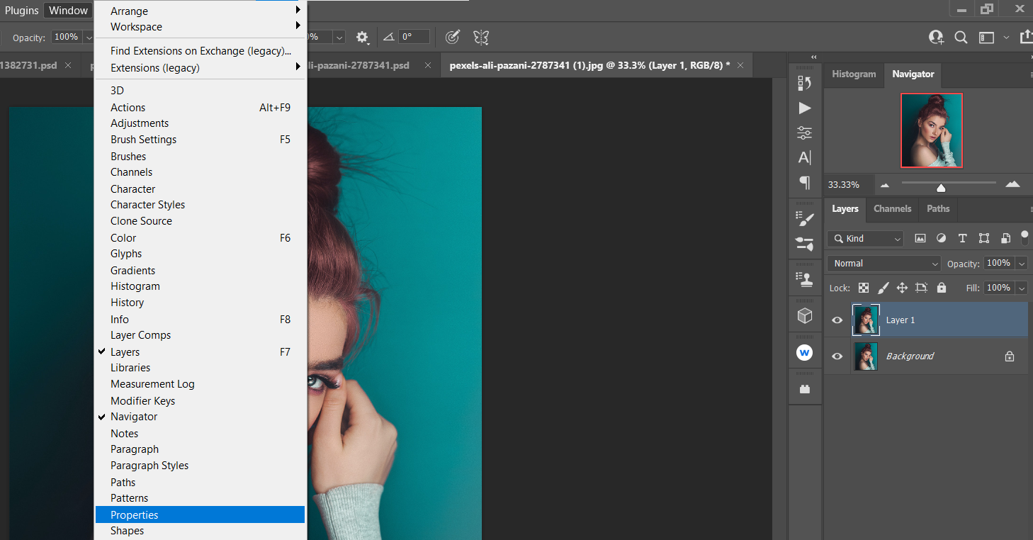 Окно — Свойства — портрет