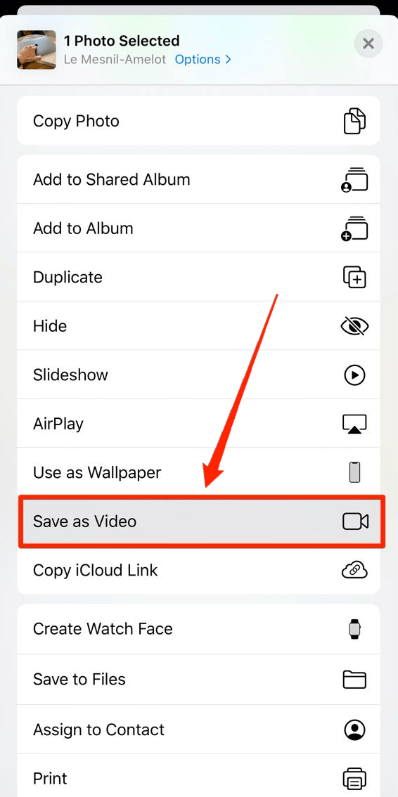 Option «Enregistrer comme vidéo» dans le menu de partage de Photos