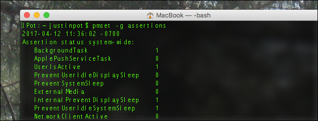 Вывод команды pmset -g assertions в Терминале macOS