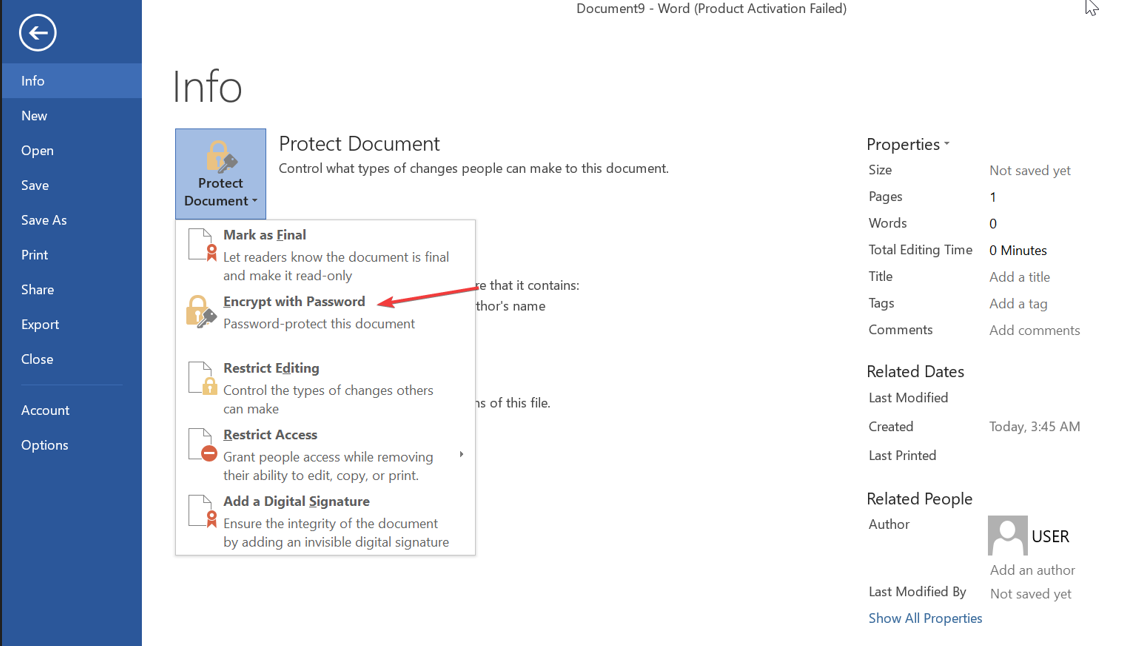 Скриншот: меню Защитить документ → Зашифровать с паролем