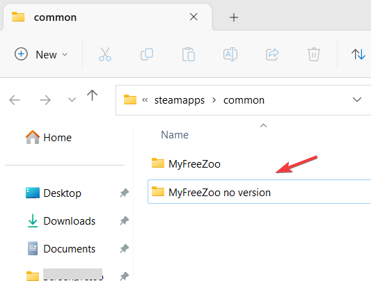 Папки с двумя версиями игры в common