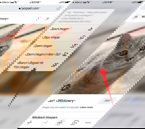 Поиск изображения через Chrome