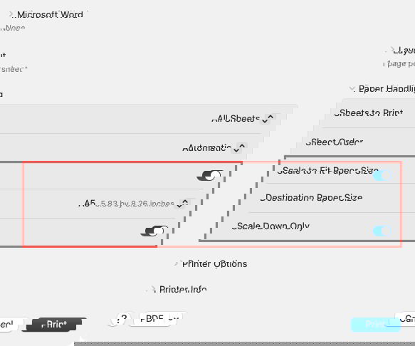 Опция Масштабировать под размер бумаги в Word на Mac