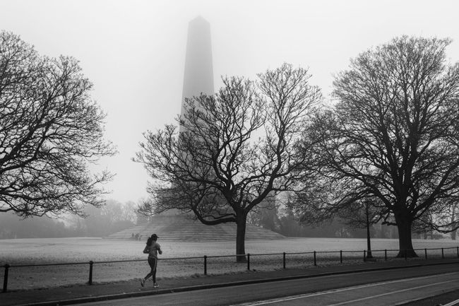 dodged and burned image