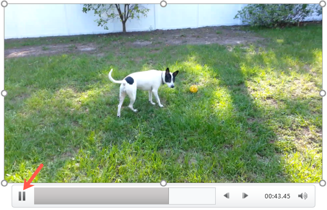 Нажмите паузу на видео