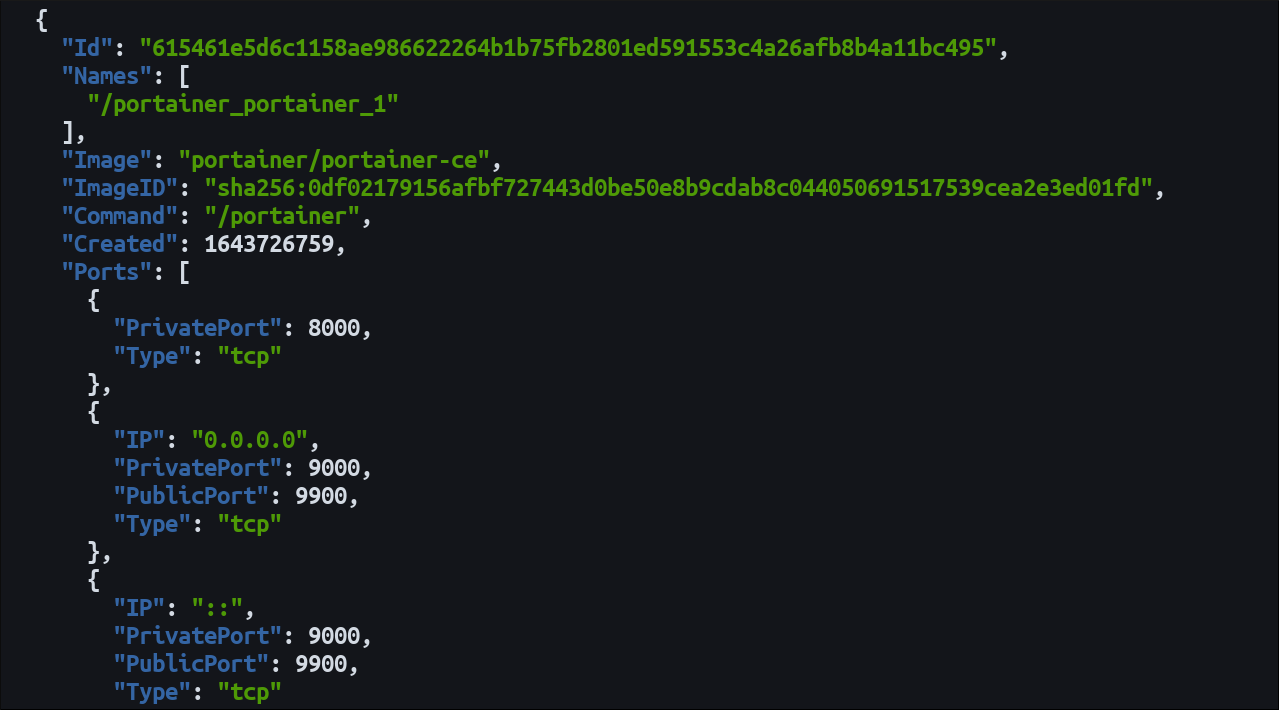 Скриншот: вывод информации о контейнерах через Docker REST API