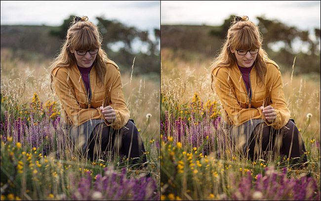 Модель Али: фиолетовая и жёлтая одежда на фоне желтой травы и фиолетовых цветов