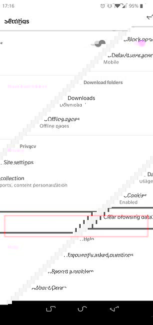 Очистка данных в Opera