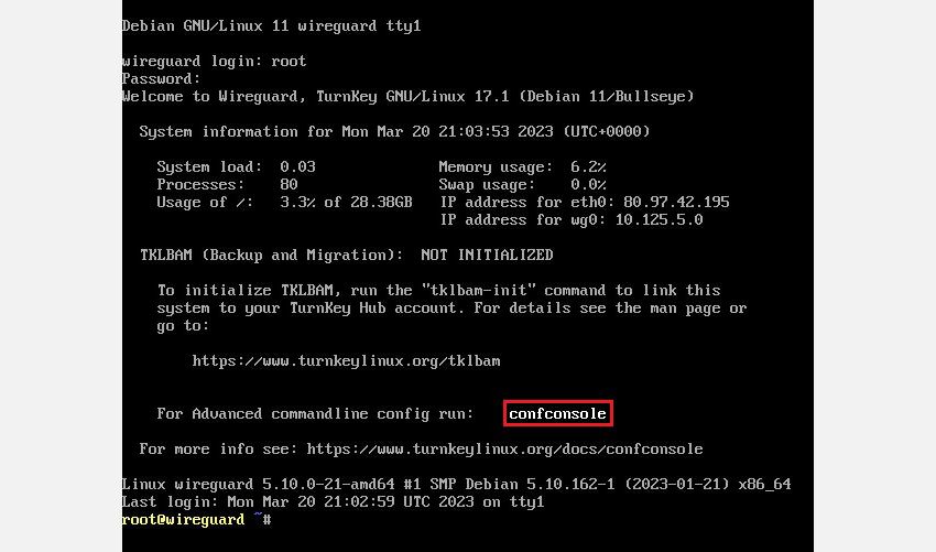 Скриншот веб-терминала TurnKey с запущенной confconsole