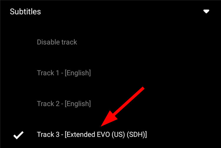 Выбранная дорожка субтитров отображается в VLC